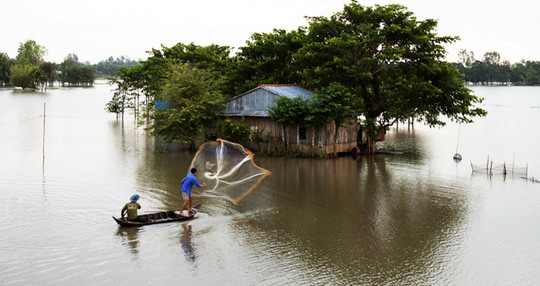 Hãy dành hẳn một ngày để ngao du trên sông Vàm Nao (huyện Phú Tân, An Giang), được mệnh danh là vựa cá bông lau, cá hô quý hiếm của miền Tây. Hãy dành hẳn một ngày để ngao du trên sông Vàm Nao (huyện Phú Tân, An Giang), được mệnh danh là vựa cá bông lau, cá hô quý hiếm của miền Tây.