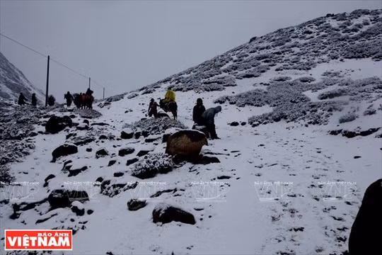 Tuyết phủ trắng trên đường hành hương.