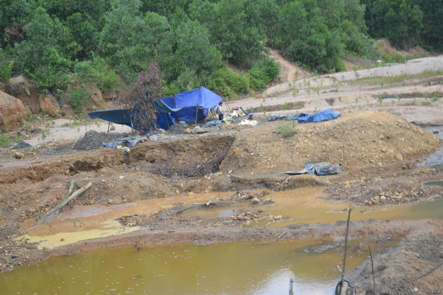 Hoàn nguyên thực địa, cải tạo môi trường hiện là từ xa xỉ tại Bồng Miêu.