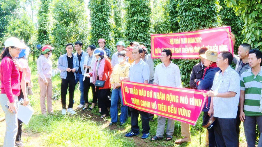 Quang cảnh hội thảo. Ảnh: Ngọc Định