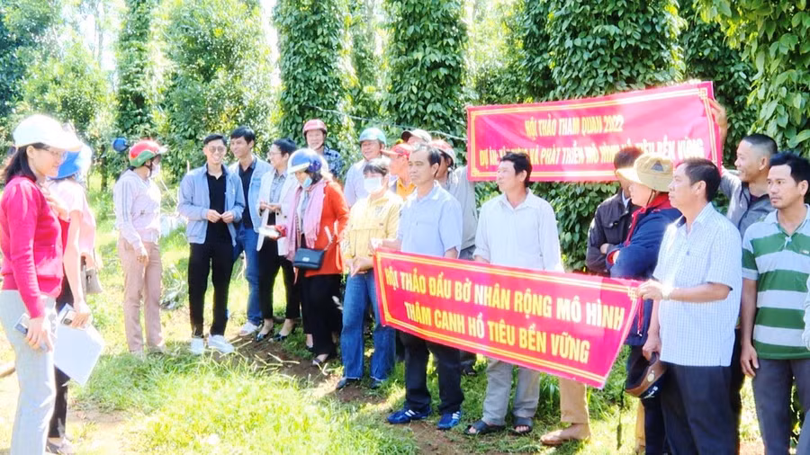 Quang cảnh hội thảo. Ảnh: Ngọc Định