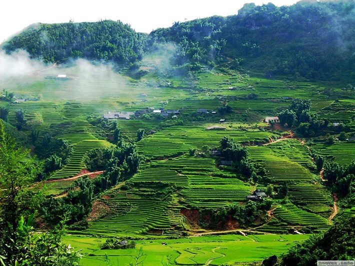 Cao nguyên Mộc Châu. Ảnh: Mytour