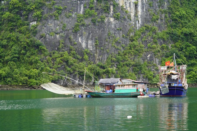 Sau hơn 8 năm thực hiện đề án di dời làng chài, du khách đến với Cửa Vạn từ vài triệu lượt mỗi năm nay chỉ còn vài trăm nghìn lượt. Ảnh: Hoàng Dương