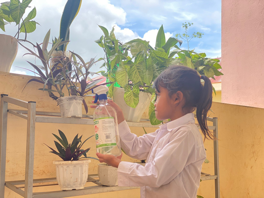  Học sinh Trường Tiểu học Đak Tơ Ve (xã Đak Tơ Ve, huyện Chư Păh) chăm sóc cây xanh của Chi đội. Ảnh: Phan Lài