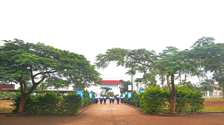 Nhờ chú trọng dọn dẹp vệ sinh, trồng cây xanh, sân trường Trung học Cơ sở Lê Qúy Đôn (xã Đak Djrăng) trở nên xanh mát hơn. Ảnh: Nhật Hào