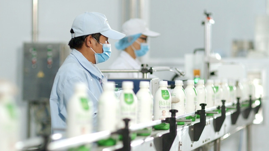 Nhà máy sữa VPMilk 20 triệu lít/ năm đi vào vận hành. Ảnh: LV