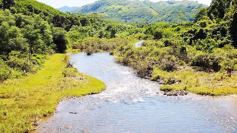 Dòng sông uốn khúc giữa rừng.