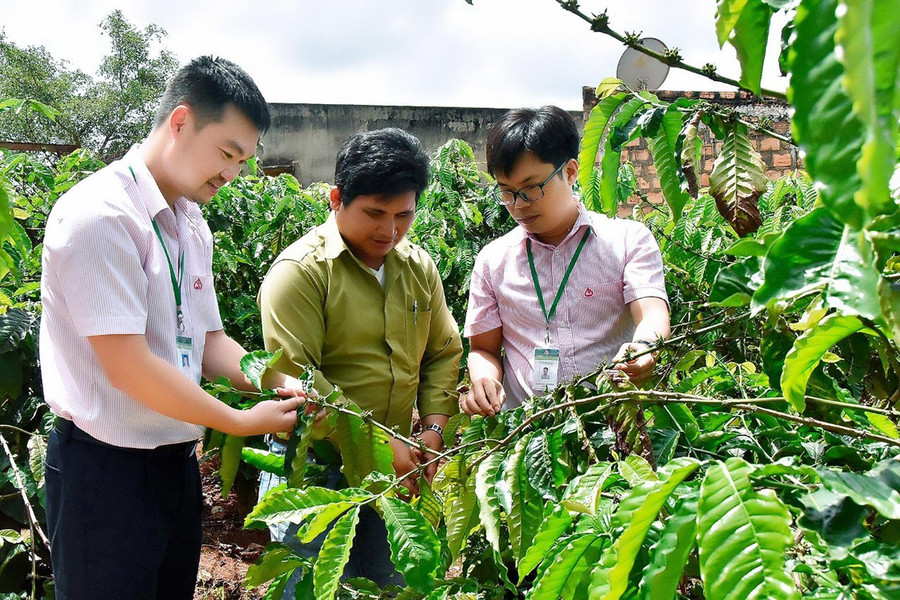 Khi tham gia vào mô hình Nông hội, bà con nông dân sẽ được hỗ trợ vay vốn, chia sẻ kinh nghiệm và cơ hội để cùng nhau phát triển sản xuất chăn nuôi hiệu quả. Ảnh: Thanh Nhật