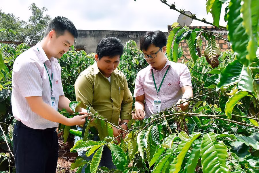 Khi tham gia vào mô hình Nông hội, bà con nông dân sẽ được hỗ trợ vay vốn, chia sẻ kinh nghiệm và cơ hội để cùng nhau phát triển sản xuất chăn nuôi hiệu quả. Ảnh: Thanh Nhật