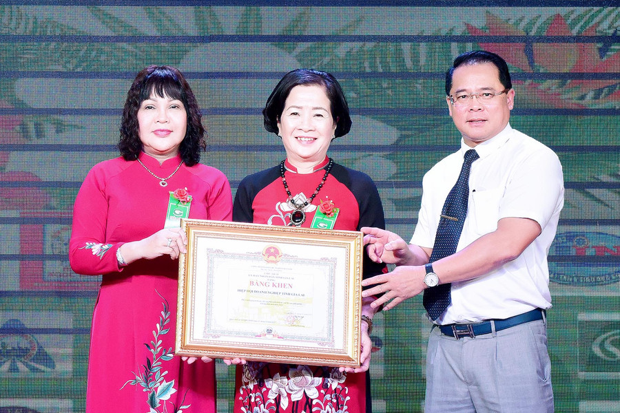 Hiệp hội Doanh nghiệp tỉnh vinh dự đón nhận bằng khen của Chủ tịch UBND tỉnh. Ảnh: Đức Thụy