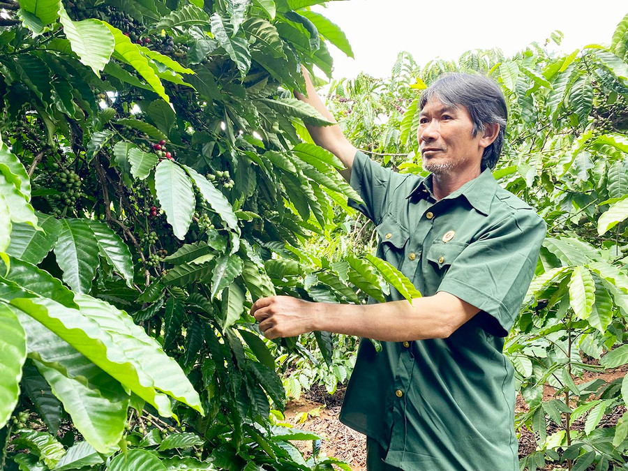  Bằng nguồn quỹ nội bộ, Hội Cựu chiến binh xã Ia Drăng đã giúp gia đình ông Trịnh Xuân Hoa (thôn Đức Nghĩa) vay với lãi suất thấp để phát triển kinh tế. Ảnh: H.D