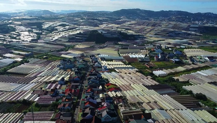 Nhà kính tại TP Đà Lạt đã gây ra nhiều hệ lụy liên quan tới môi trường.