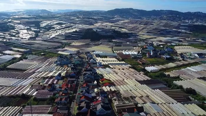 Nhà kính tại TP Đà Lạt đã gây ra nhiều hệ lụy liên quan tới môi trường.