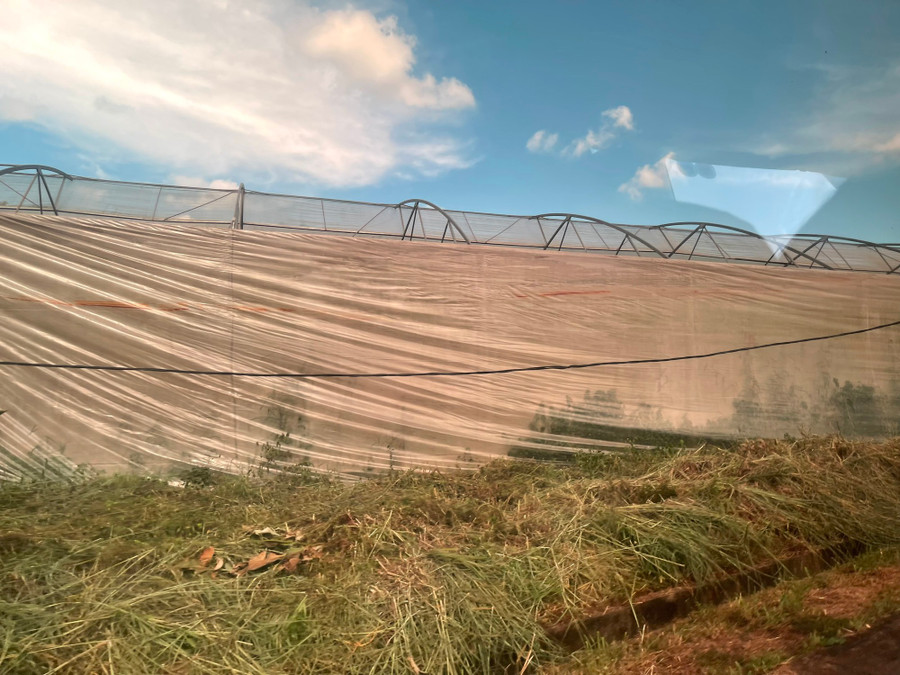 Sai phạm từ dự án nhà màng. Ảnh: Tuệ Mẫn Sai phạm từ dự án nhà màng. Ảnh: Tuệ Mẫn