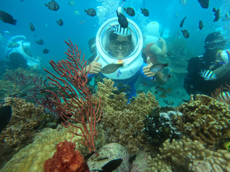 Mỗi du khách tham gia tour sẽ có một thợ lặn chuyên nghiệp đi kèm.