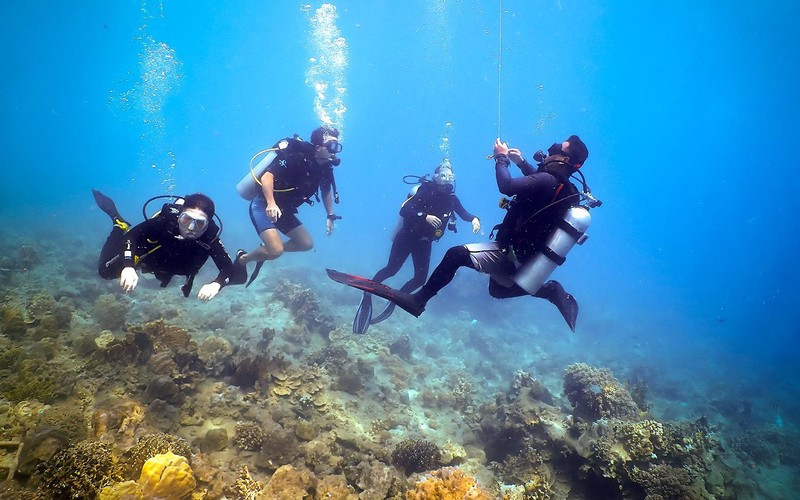 Du lịch lặn biển được du khách nước ngoài ưa thích.