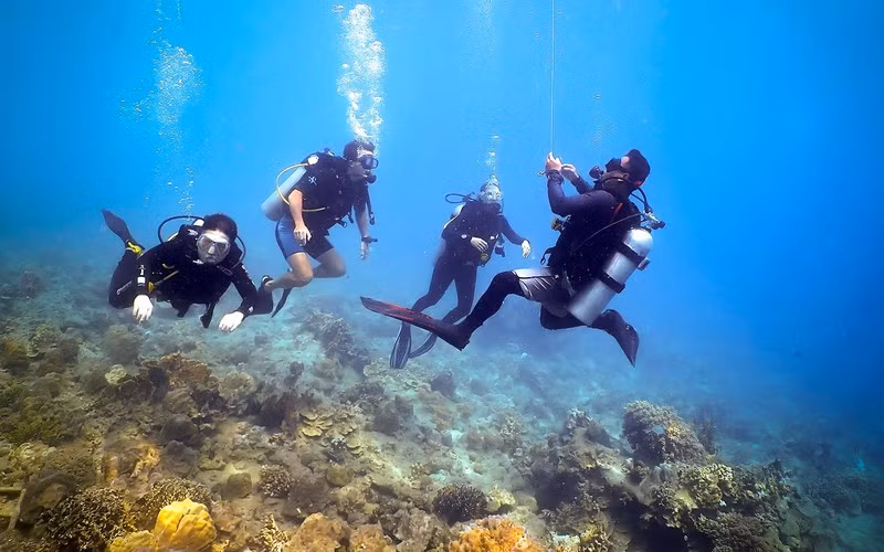 Du lịch lặn biển được du khách nước ngoài ưa thích.