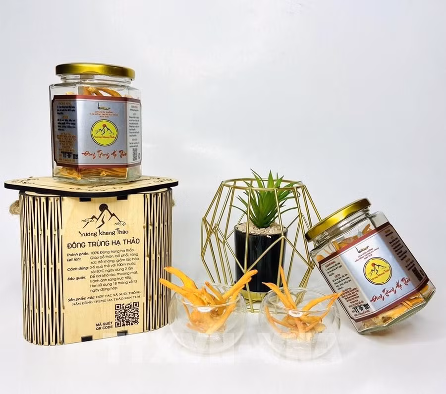 Sản phẩm của Hợp tác xã nuôi trồng nấm Đông Trùng Hạ Thảo Kon Tum được đưa lên các sàn thương mại điện tử, giúp tăng doanh số từ 200 – 300%. Ảnh: Dư Toán - TTXVN