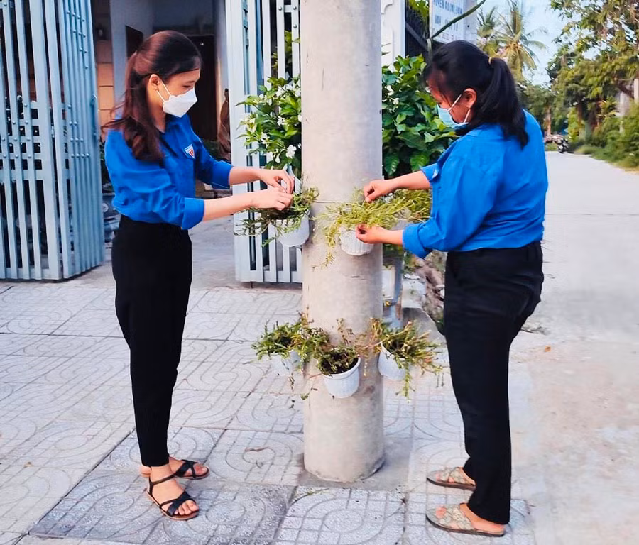 Đoàn viên, thanh niên thị trấn Phú Túc ra quân trang trí giỏ hoa mười giờ trên các cột điện của tuyến đường Quang Trung tạo cảnh quan xanh-sạch-đẹp. Ảnh: Vũ Chi
