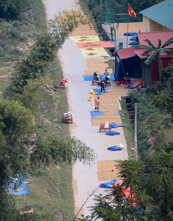 Người dân tận dụng những con đường nông thôn mới để phơi lúa 