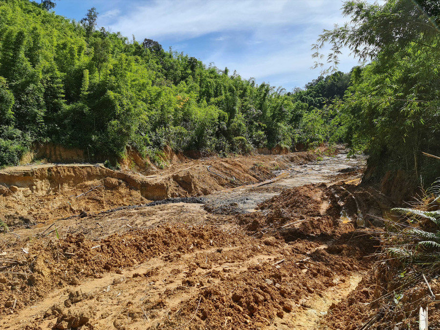 Nhiều diện tích đất rừng bị đào bới ở gần địa điểm khai thác vàng. Ảnh: H.T