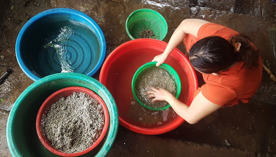 Việc đãi, tách vỏ hến là chuỗi công việc tốn thời giờ. Ảnh: Nguyễn Phúc