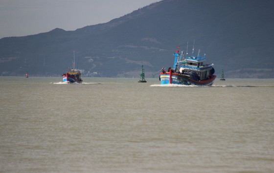 Tàu cá ngư dân Bình Định lai dắt nhau trở về bờ tránh bão Tàu cá ngư dân Bình Định lai dắt nhau trở về bờ tránh bão