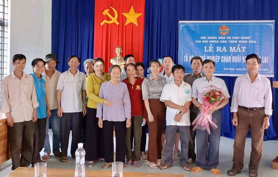 Thành viên mô hình Tổ hội nghề nghiệp ra mắt tại buổi lễ. Ảnh: Mai Linh