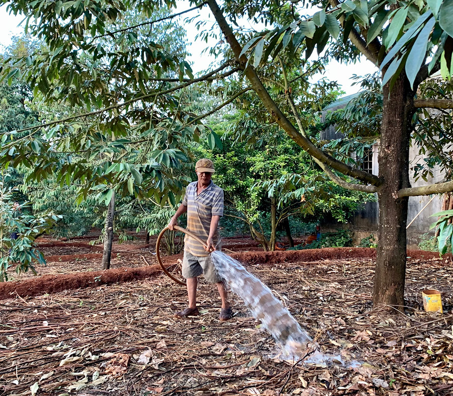  Khi các hồ thủy lợi được cải tạo, nâng cấp sẽ cấp đủ nước tưới, giúp tăng năng suất cây trồng. Ảnh: H.D