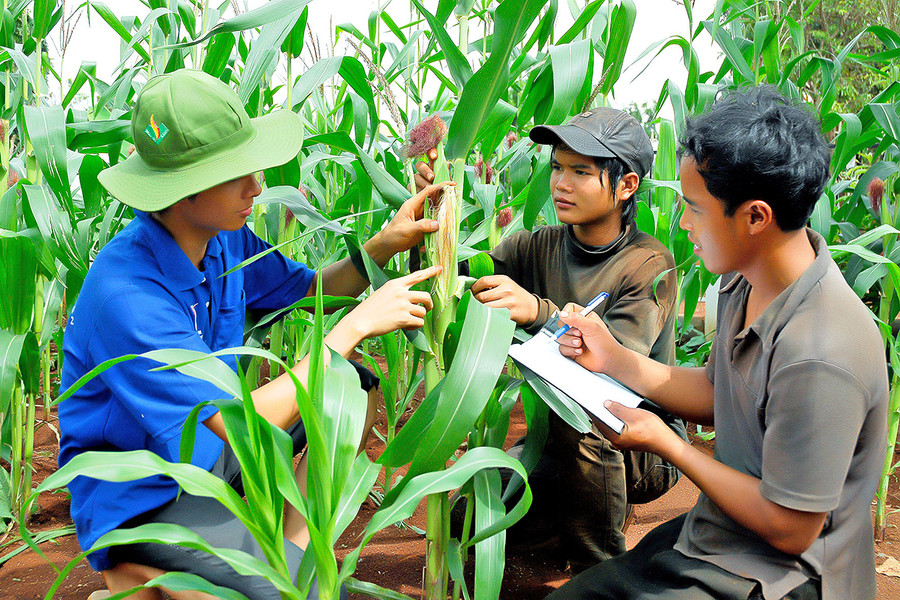 Gia Lai tăng cường công tác truyền thông về Chương trình MTQG phát triển kinh tế-xã hội vùng đồng bào dân tộc thiểu số và miền núi. Ảnh: Đức Thụy Gia Lai tăng cường công tác truyền thông về Chương trình MTQG phát triển kinh tế-xã hội vùng đồng bào dân tộc thiểu số và miền núi. Ảnh: Đức Thụy