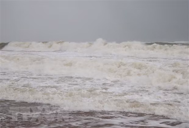 Ảnh minh họa. Ảnh: Phạm Cường/TTXVN