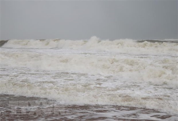 Ảnh minh họa. Ảnh: Phạm Cường/TTXVN