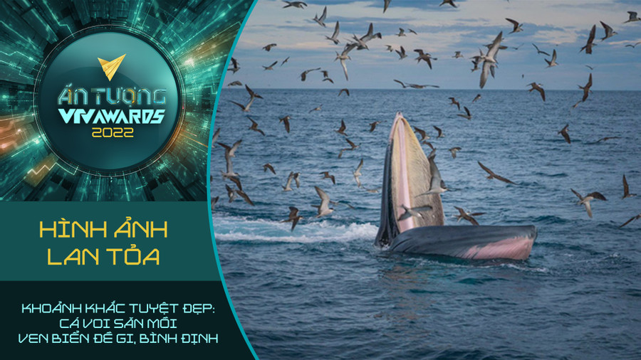 Bên cạnh đó, đề cử 