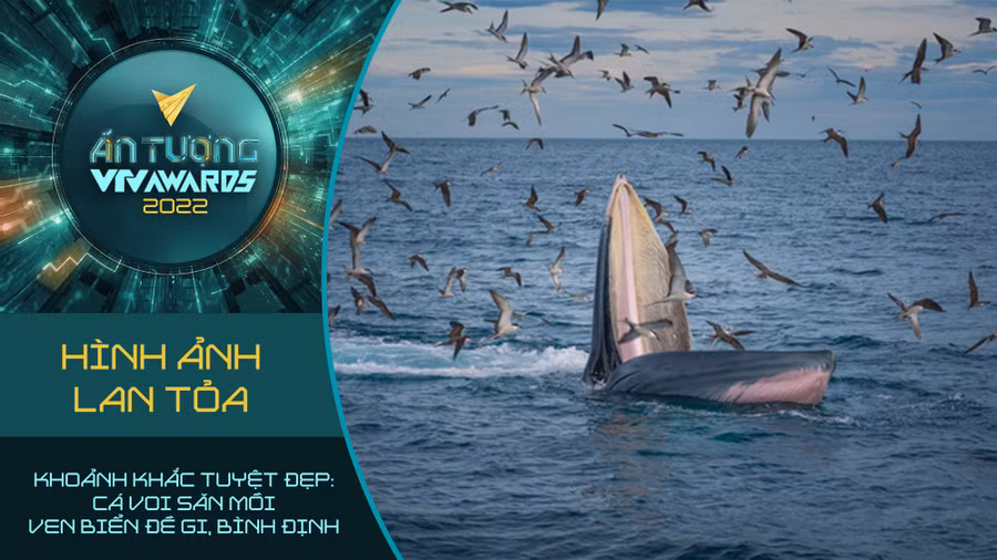 Bên cạnh đó, đề cử 