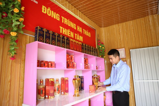 Anh Nguyễn Thành Luân bên gian hàng mô hình đông trùng hạ thảo Thiên Tâm. Anh Nguyễn Thành Luân bên gian hàng mô hình đông trùng hạ thảo Thiên Tâm.