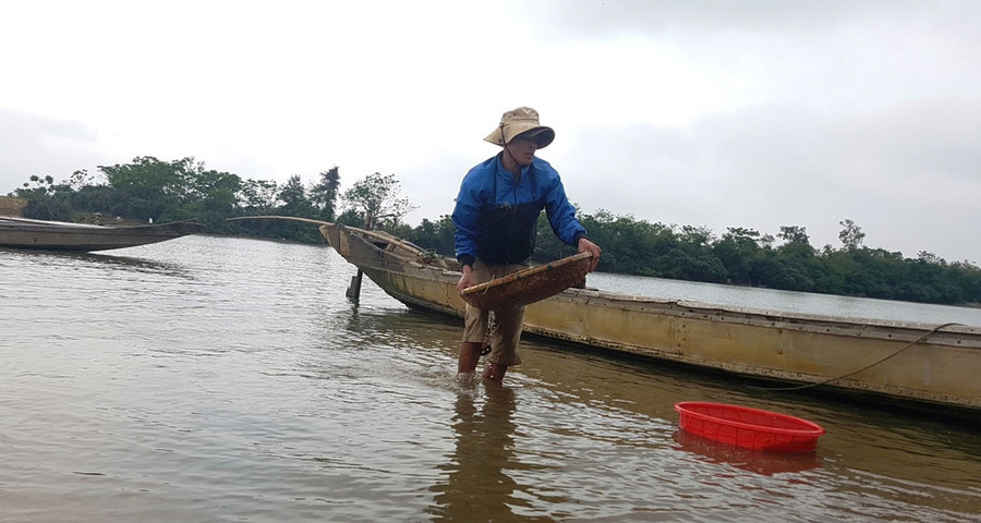 Những con đò chở ăm ắp hến cập bờ sông ở làng Mai Xá (xã Gio Mai, H.Gio Linh, Quảng Trị). Ảnh: Nguyễn Phúc