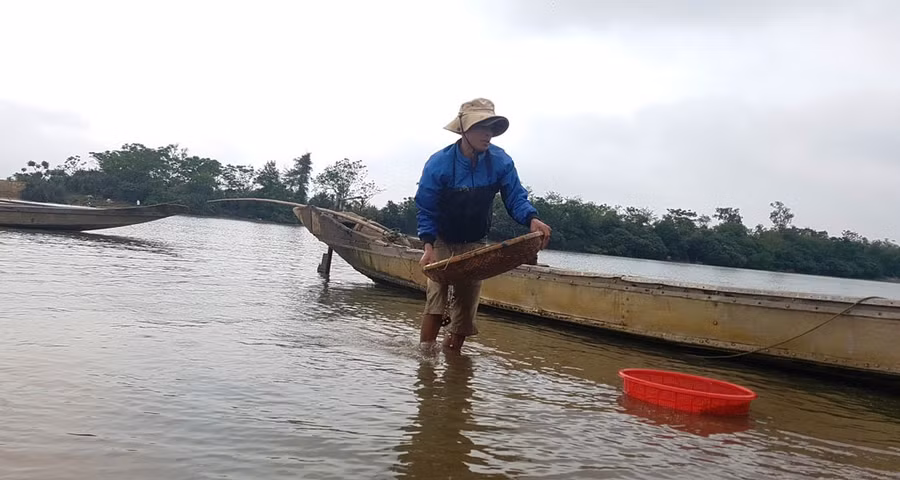 Những con đò chở ăm ắp hến cập bờ sông ở làng Mai Xá (xã Gio Mai, H.Gio Linh, Quảng Trị). Ảnh: Nguyễn Phúc