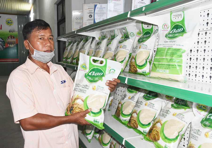 Sản phầm gạo ST25 của HTX Nông nghiệp Chư A Thai. Ảnh: Hà Phương