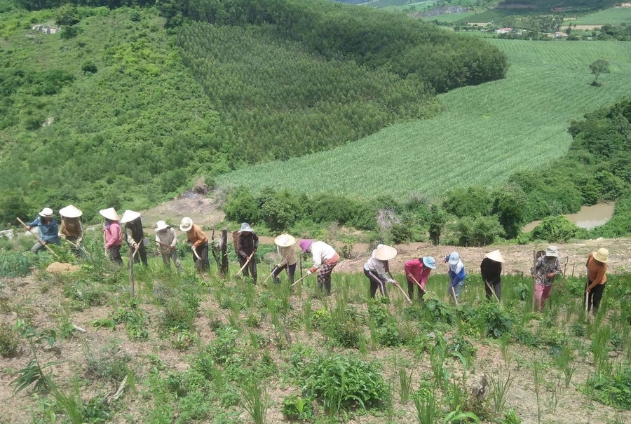 Mô hình giúp nhau ngày công cho hội viên phụ nữ có hoàn cảnh khó khăn được Chi hội phụ nữ làng Hà Đừng 1, xã Đak Rong thực hiện nhiều năm nay. Ảnh: Ngọc Minh