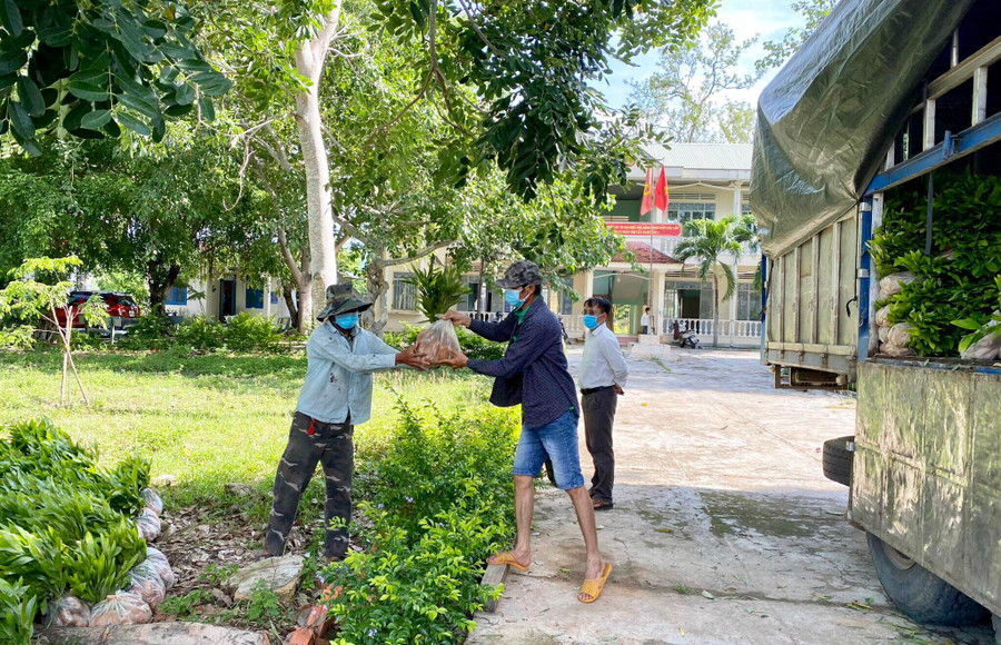 Hạt Kiểm lâm huyện Krông Pa cấp cây giống cho người dân xã Đất Bằng để trồng rừng. Ảnh: Lê Nam