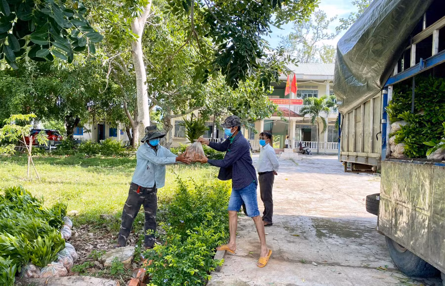 Hạt Kiểm lâm huyện Krông Pa cấp cây giống cho người dân xã Đất Bằng để trồng rừng. Ảnh: Lê Nam