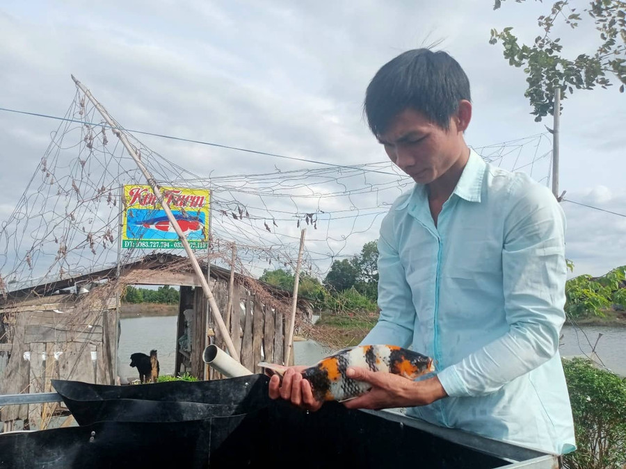 Khởi nghiệp từ đam mê, anh Ngọc đã gặt hái được nhiều thành công, mỗi năm thu lãi vài trăm triệu đồng. Ảnh: NVCC  Khởi nghiệp từ đam mê, anh Ngọc đã gặt hái được nhiều thành công, mỗi năm thu lãi vài trăm triệu đồng. Ảnh: NVCC