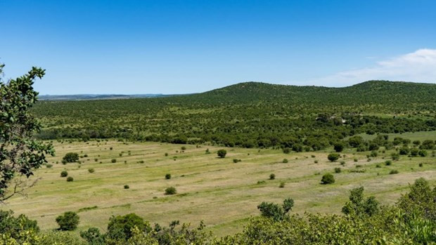 Ngày hôm nay, những gì còn lại của miệng hố Vredefort rất khó để nhận ra từ bề mặt. Nguồn: Sutterstock