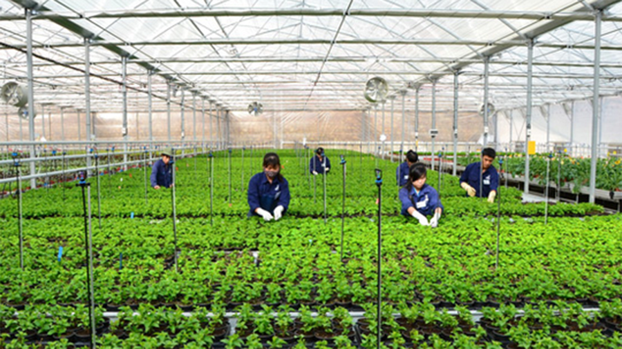 Lao động có nguyện vọng sang Hàn Quốc làm việc có thể đăng ký tham gia kỳ thi tiếng Hàn vào tháng 10