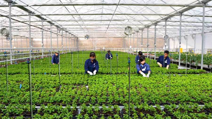 Lao động có nguyện vọng sang Hàn Quốc làm việc có thể đăng ký tham gia kỳ thi tiếng Hàn vào tháng 10