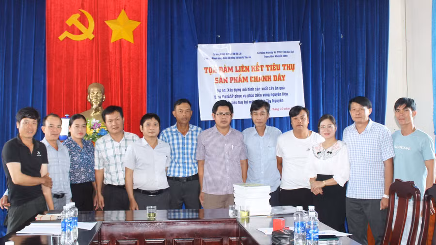 Các đơn vị liên quan, hộ dân và hợp tác xã ký kết hợp đồng tiêu thụ chanh dây VietGAP. Ảnh: Nguyễn Diệp