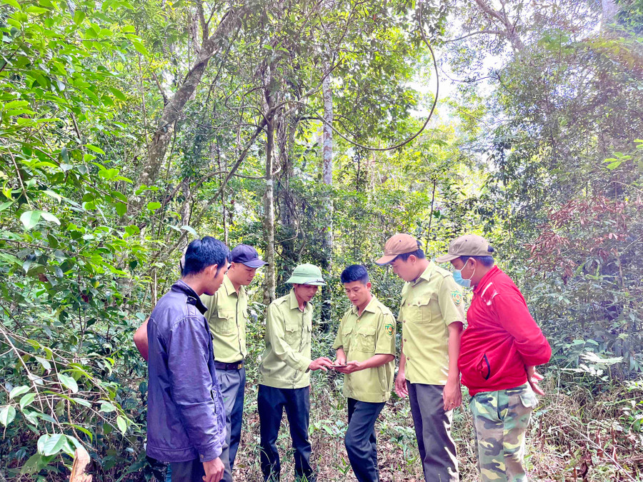 Gia Lai tăng cường tuần tra rừng trong mùa khô 2022-2023. Ảnh: Phương Vi Gia Lai tăng cường tuần tra, kiểm soát cháy rừng trong mùa khô 2022-2023. Ảnh: Phương Vi