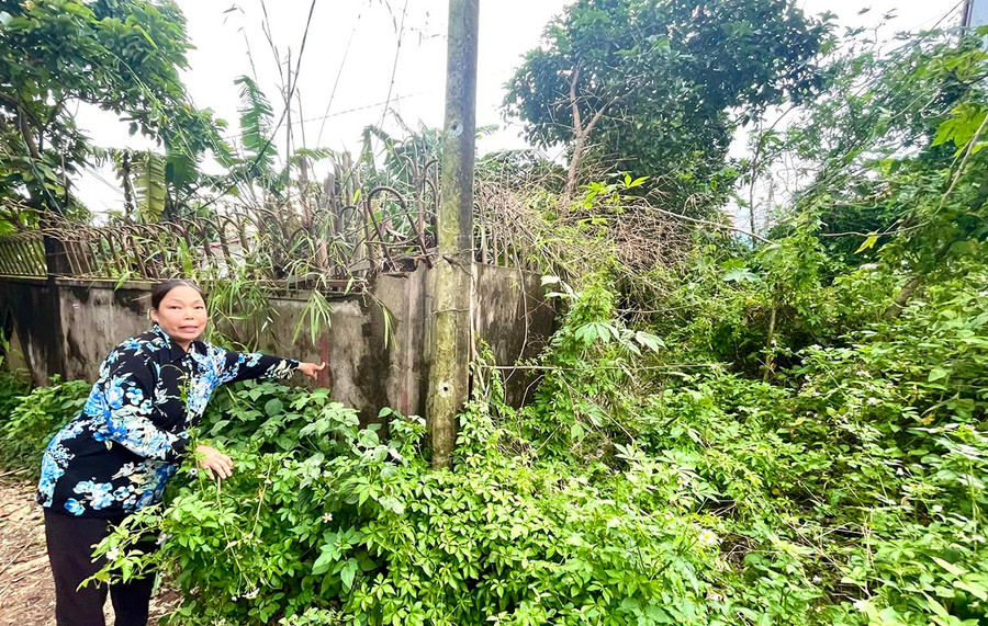 Bà Lê Thị Trưng (tổ 4, phường Ia Kring, TP. Pleiku) bức xúc vì diện tích đất của gia đình còn thiếu hơn 200 m2 so với giấy chứng nhận quyền sử dụng nhưng lại bị tòa xử phải trả thêm đất cho người khác. Ảnh: Minh Nguyễn Bà Lê Thị Trưng (tổ 4, phường Ia Kring, TP. Pleiku) bức xúc vì diện tích đất của gia đình còn thiếu hơn 200 m2 so với giấy chứng nhận quyền sử dụng nhưng lại bị tòa xử phải trả thêm đất cho người khác. Ảnh: Minh Nguyễn