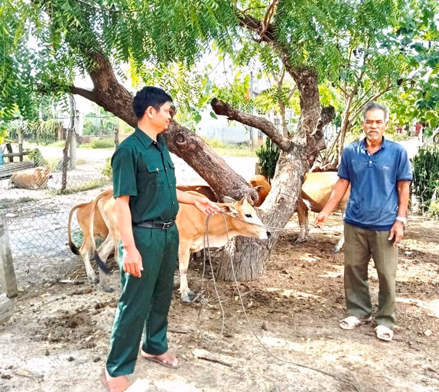  Gia đình ông Rmah Ben (buôn Plei Chrung, xã Ia Piar) được Hội Cựu chiến binh huyện Phú Thiện tặng bò sinh sản, tạo sinh kế giúp vươn lên thoát nghèo. Ảnh: Đinh Yến