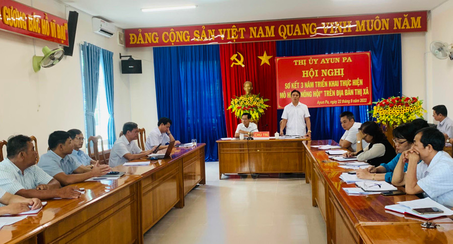 Thị ủy Ayun Pa tổ chức hội nghị sơ kết 3 năm triển khai mô hình nông hội nhằm đánh giá, rút kinh nghiệm, phát triển mô hình trong thời gian tới. Ảnh: Vũ Chi